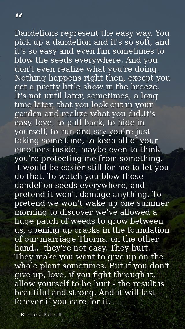 Dandelions represent the easy way. You pick up a dandelion and it's so soft, and it's so easy and even fun sometimes to  — Breeana Puttroff
