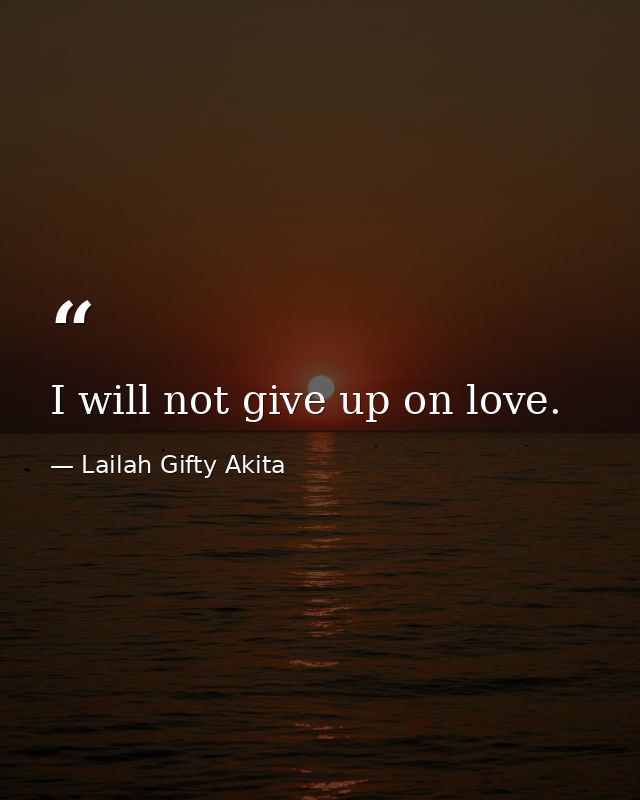I will not give up on love. — Lailah Gifty Akita