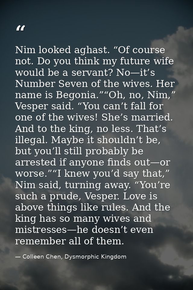 Nim looked aghast. “Of course not. Do you think my future wife would be a servant? No—it’s Number Seven of the wives. He — Colleen Chen, Dysmorphic Kingdom