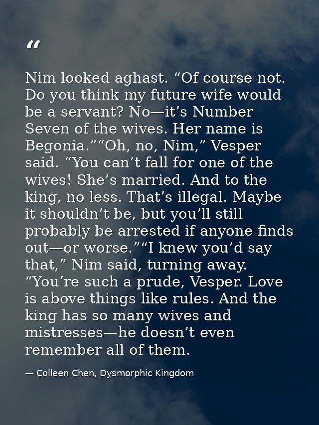 Nim looked aghast. “Of course not. Do you think my future wife would be a servant? No—it’s Number Seven of the wives. He — Colleen Chen, Dysmorphic Kingdom