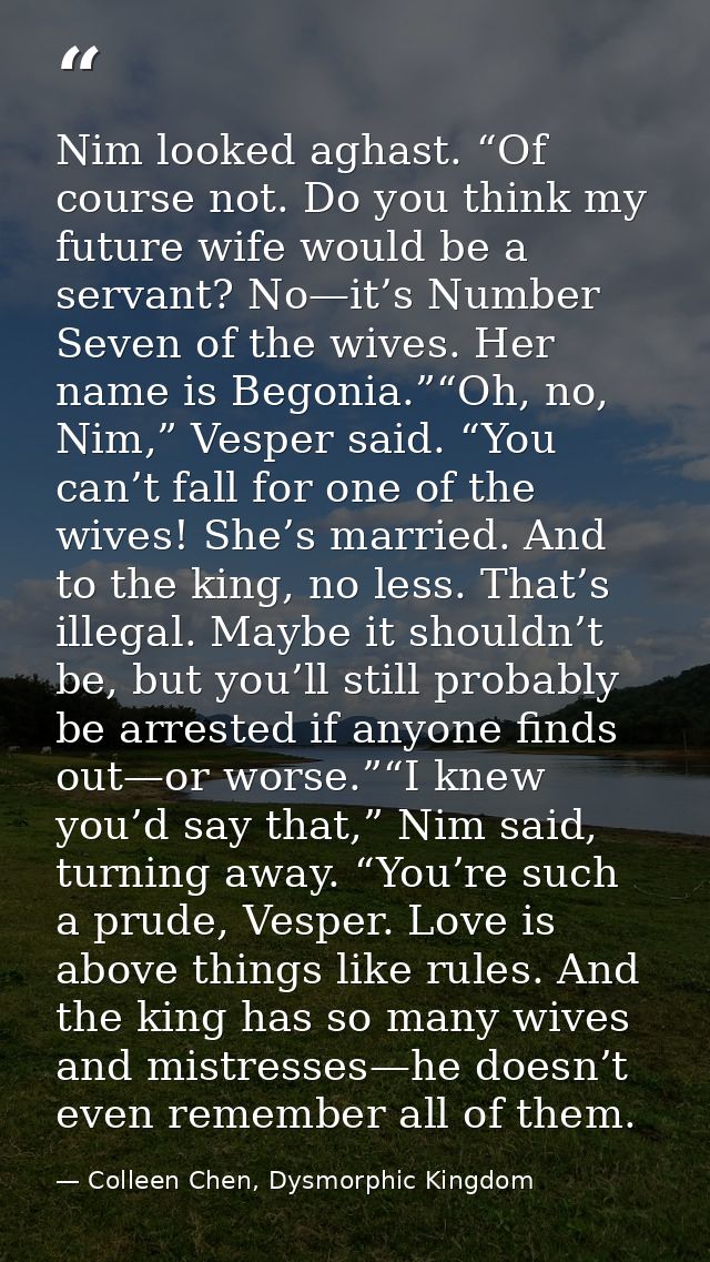 Nim looked aghast. “Of course not. Do you think my future wife would be a servant? No—it’s Number Seven of the wives. He — Colleen Chen, Dysmorphic Kingdom