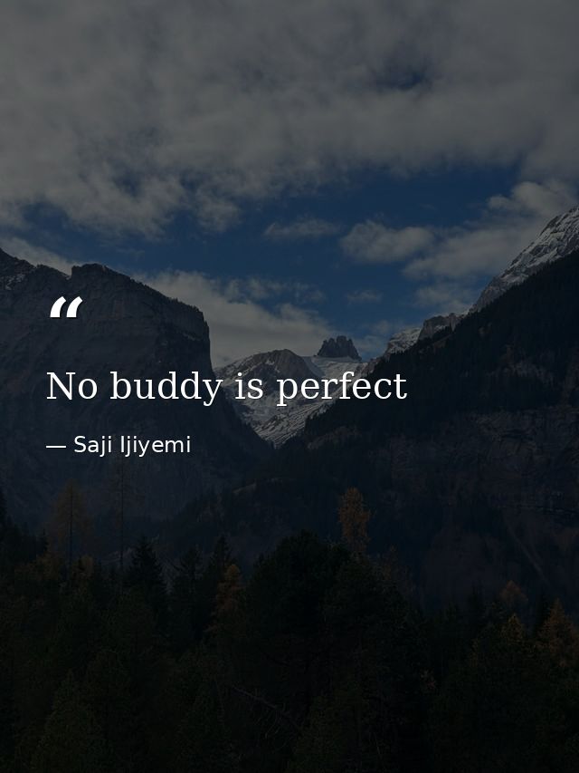No buddy is perfect — Saji Ijiyemi