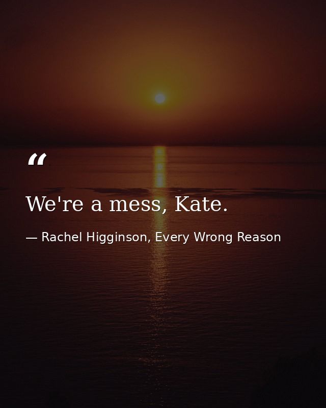 We're a mess, Kate. — Rachel Higginson, Every Wrong Reason