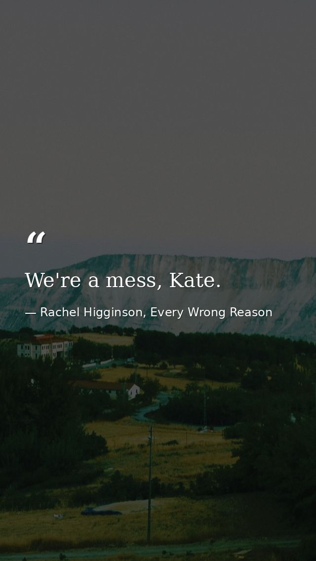 We're a mess, Kate. — Rachel Higginson, Every Wrong Reason