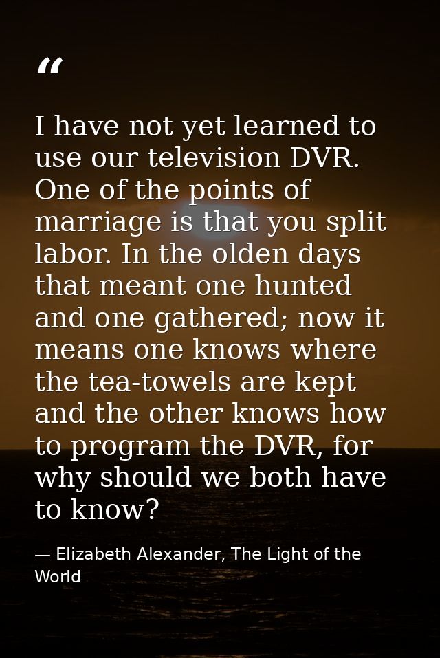I have not yet learned to use our television DVR. One of the points of marriage is that you split labor. In the olden da — Elizabeth Alexander, The Light of the World