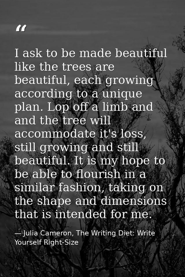 I ask to be made beautiful like the trees are beautiful, each growing according to a unique plan. Lop off a limb and and — Julia Cameron, The Writing Diet: Write Yourself Right-Size