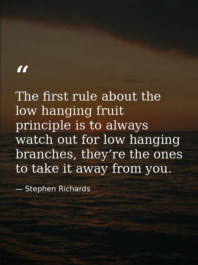 The first rule about the low hanging fruit principle is to always watch out for low hanging branches, they’re the ones t — Stephen Richards