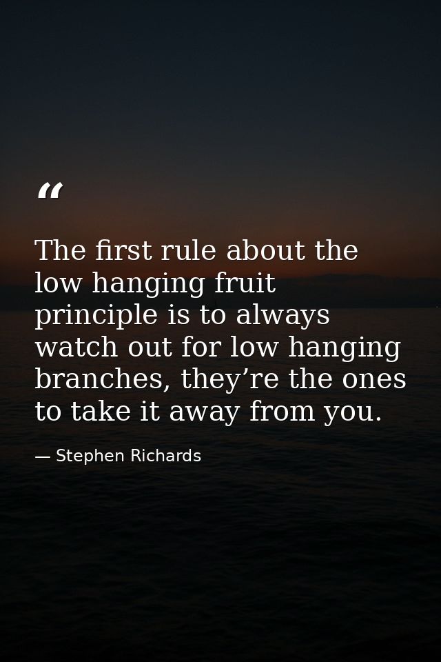 The first rule about the low hanging fruit principle is to always watch out for low hanging branches, they’re the ones t — Stephen Richards