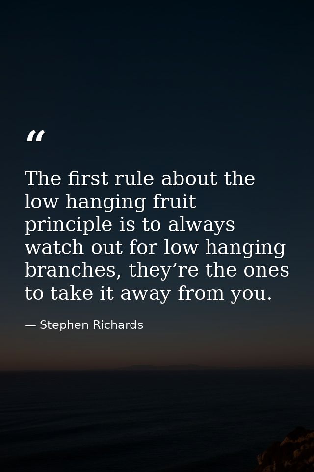 The first rule about the low hanging fruit principle is to always watch out for low hanging branches, they’re the ones t — Stephen Richards