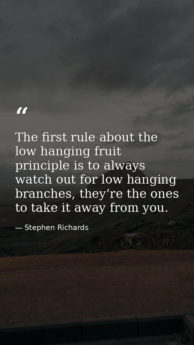 The first rule about the low hanging fruit principle is to always watch out for low hanging branches, they’re the ones t — Stephen Richards