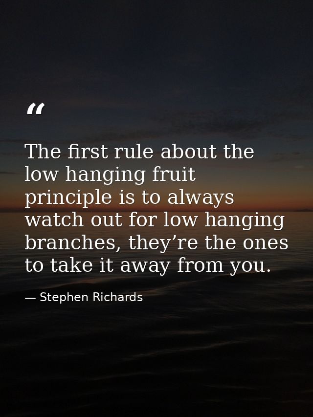 The first rule about the low hanging fruit principle is to always watch out for low hanging branches, they’re the ones t — Stephen Richards
