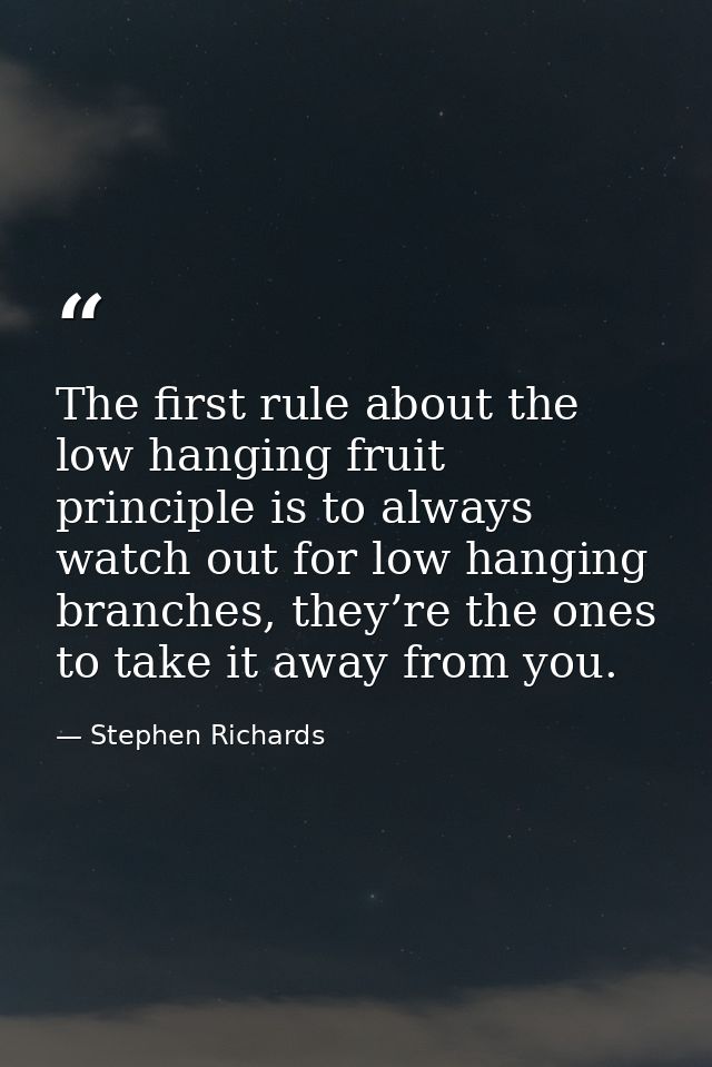 The first rule about the low hanging fruit principle is to always watch out for low hanging branches, they’re the ones t — Stephen Richards