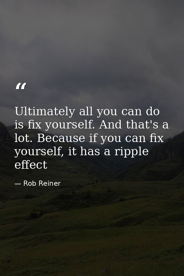 Ultimately all you can do is fix yourself. And that's a lot. Because if you can fix yourself, it has a ripple effect — Rob Reiner
