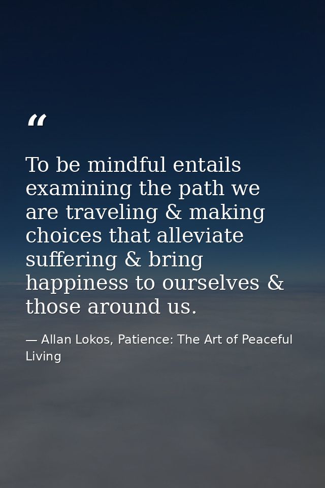 To be mindful entails examining the path we are traveling & making choices that alleviate suffering & bring happiness to — Allan Lokos, Patience: The Art of Peaceful Living