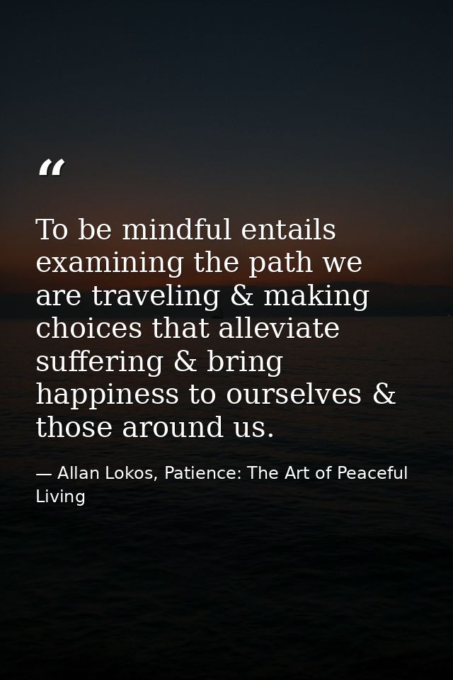 To be mindful entails examining the path we are traveling & making choices that alleviate suffering & bring happiness to — Allan Lokos, Patience: The Art of Peaceful Living