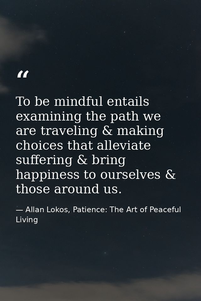 To be mindful entails examining the path we are traveling & making choices that alleviate suffering & bring happiness to — Allan Lokos, Patience: The Art of Peaceful Living