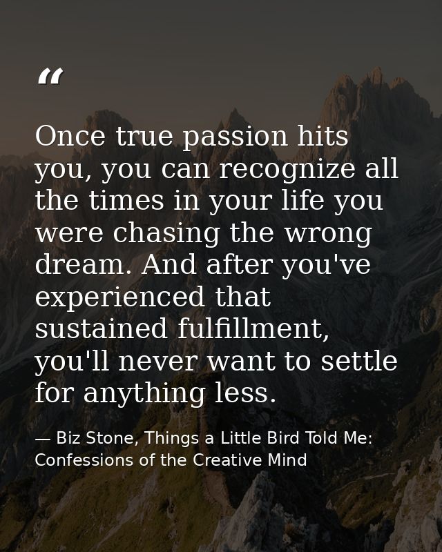 Once true passion hits you, you can recognize all the times in your life you were chasing the wrong dream. And after you — Biz Stone, Things a Little Bird Told Me: Confessions of the Creative Mind