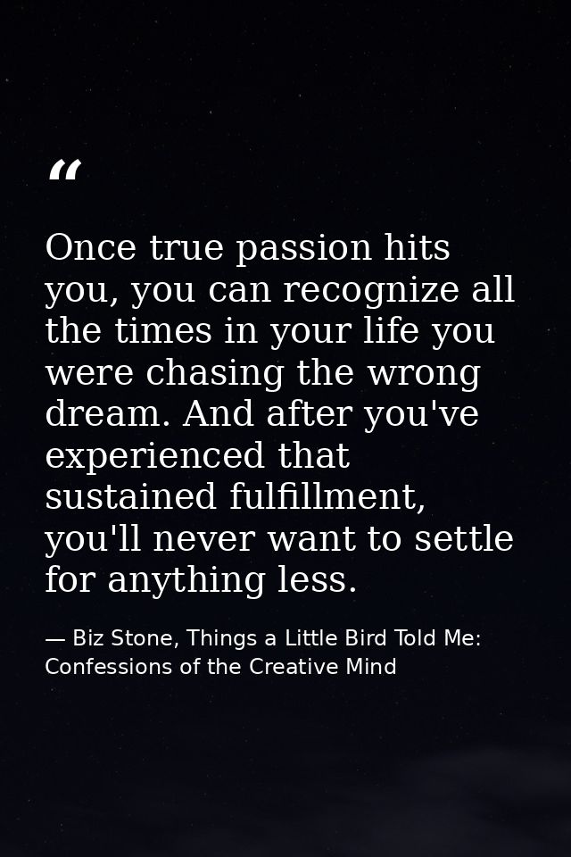 Once true passion hits you, you can recognize all the times in your life you were chasing the wrong dream. And after you — Biz Stone, Things a Little Bird Told Me: Confessions of the Creative Mind