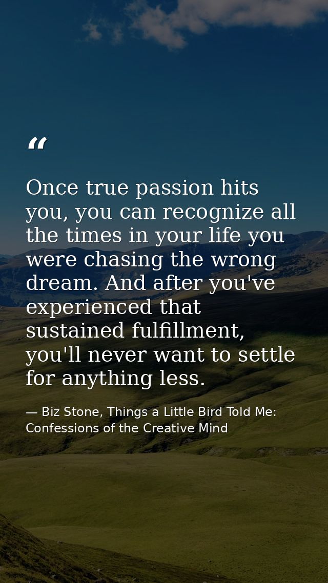Once true passion hits you, you can recognize all the times in your life you were chasing the wrong dream. And after you — Biz Stone, Things a Little Bird Told Me: Confessions of the Creative Mind