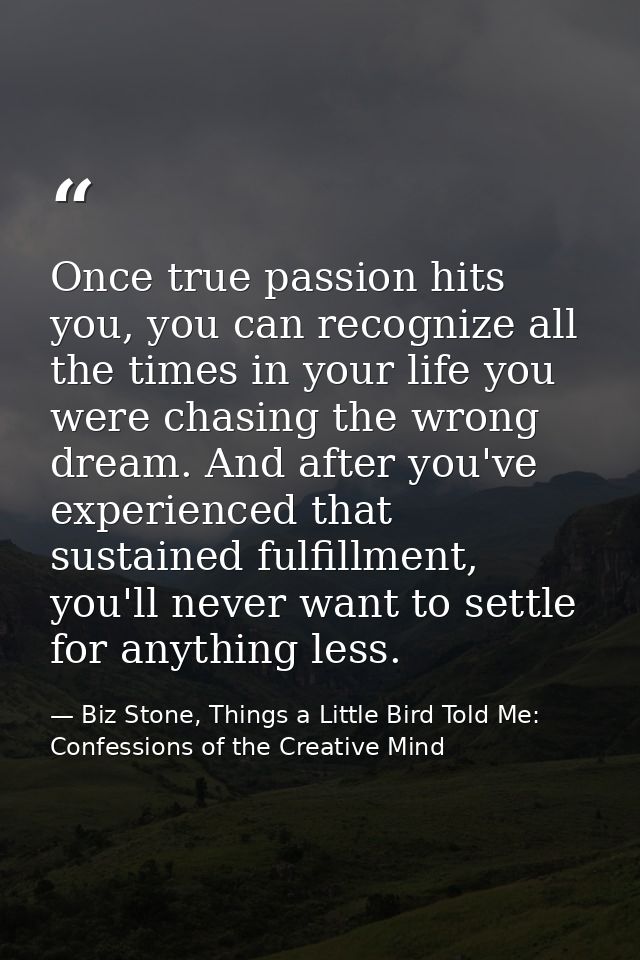 Once true passion hits you, you can recognize all the times in your life you were chasing the wrong dream. And after you — Biz Stone, Things a Little Bird Told Me: Confessions of the Creative Mind