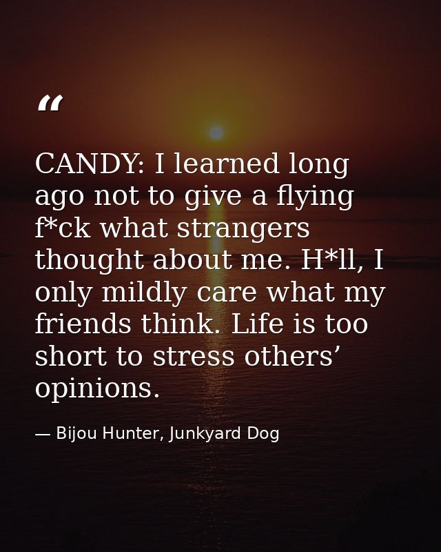 CANDY: I learned long ago not to give a flying f*ck what strangers thought about me. H*ll, I only mildly care what my fr — Bijou Hunter, Junkyard Dog