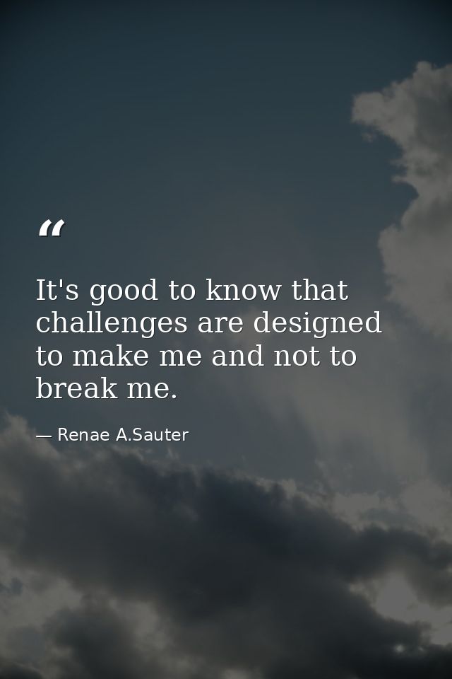 It's good to know that challenges are designed to make me and not to break me. — Renae A.Sauter