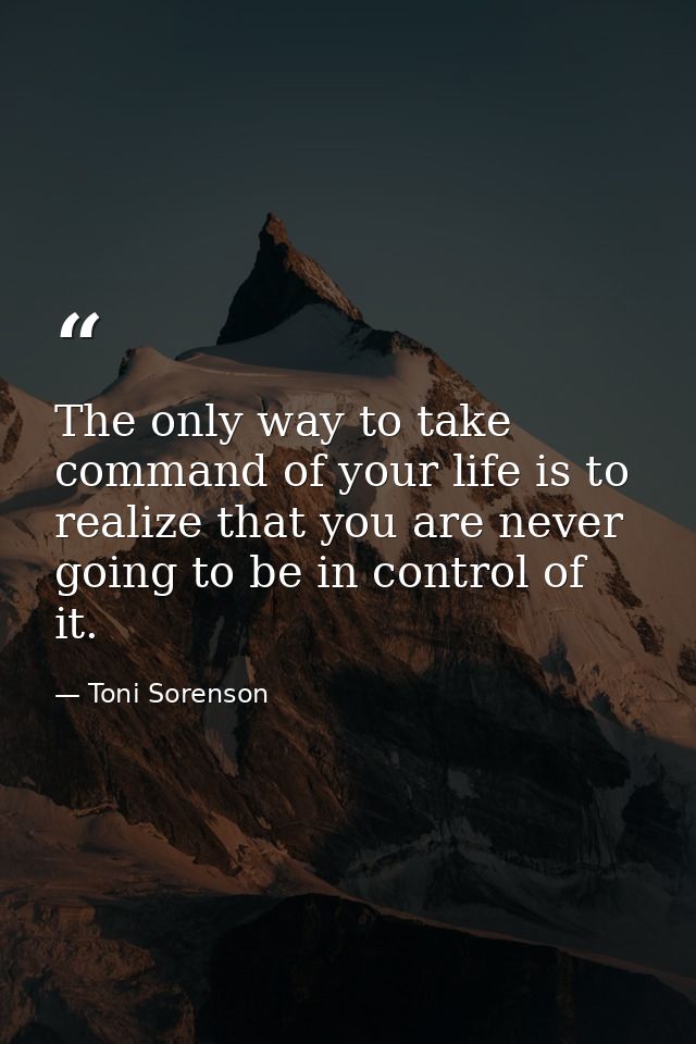 The only way to take command of your life is to realize that you are never going to be in control of it. — Toni Sorenson