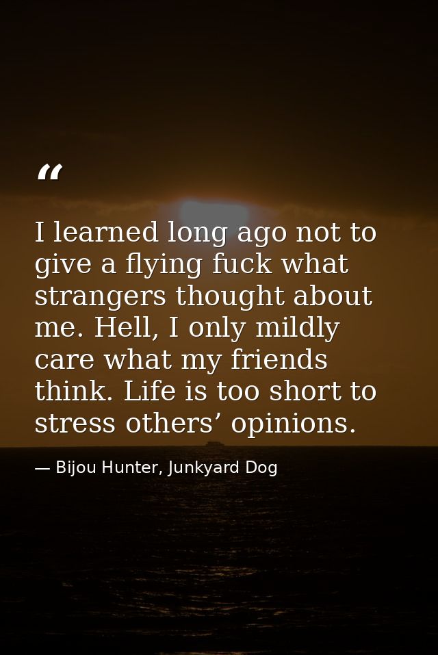 I learned long ago not to give a flying fuck what strangers thought about me. Hell, I only mildly care what my friends t — Bijou Hunter, Junkyard Dog