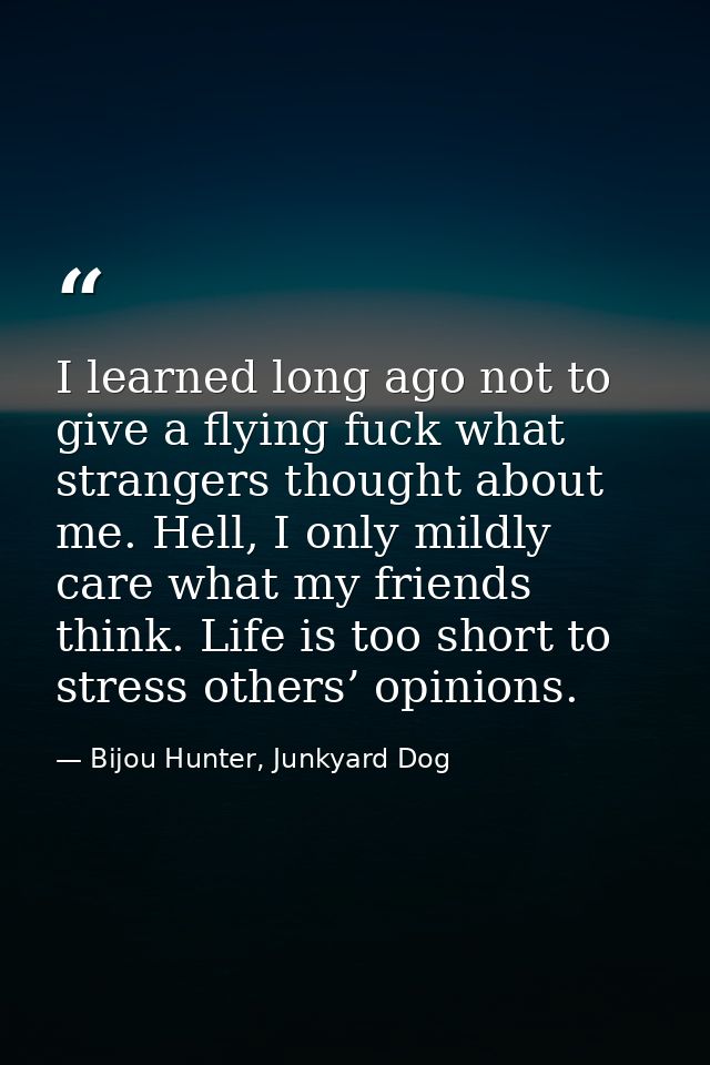 I learned long ago not to give a flying fuck what strangers thought about me. Hell, I only mildly care what my friends t — Bijou Hunter, Junkyard Dog