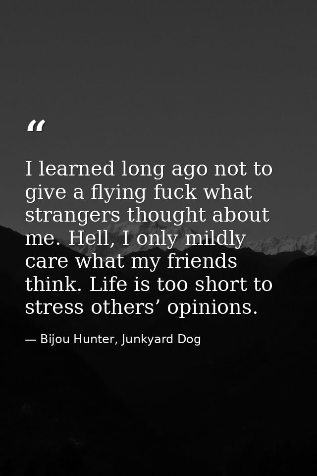 I learned long ago not to give a flying fuck what strangers thought about me. Hell, I only mildly care what my friends t — Bijou Hunter, Junkyard Dog