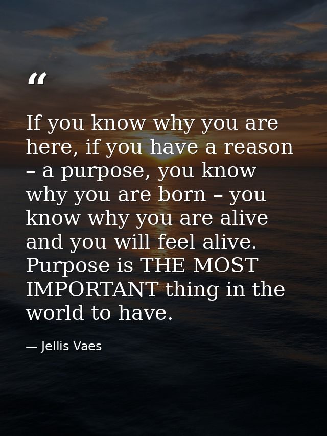 If you know why you are here, if you have a reason – a purpose, you know why you are born – you know why you are alive a — Jellis Vaes