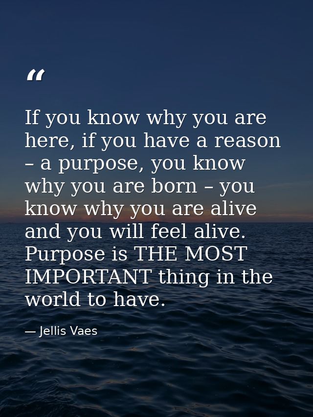 If you know why you are here, if you have a reason – a purpose, you know why you are born – you know why you are alive a — Jellis Vaes