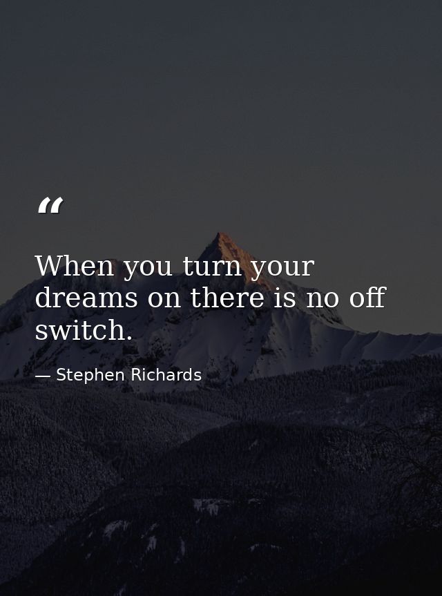 When you turn your dreams on there is no off switch. — Stephen Richards