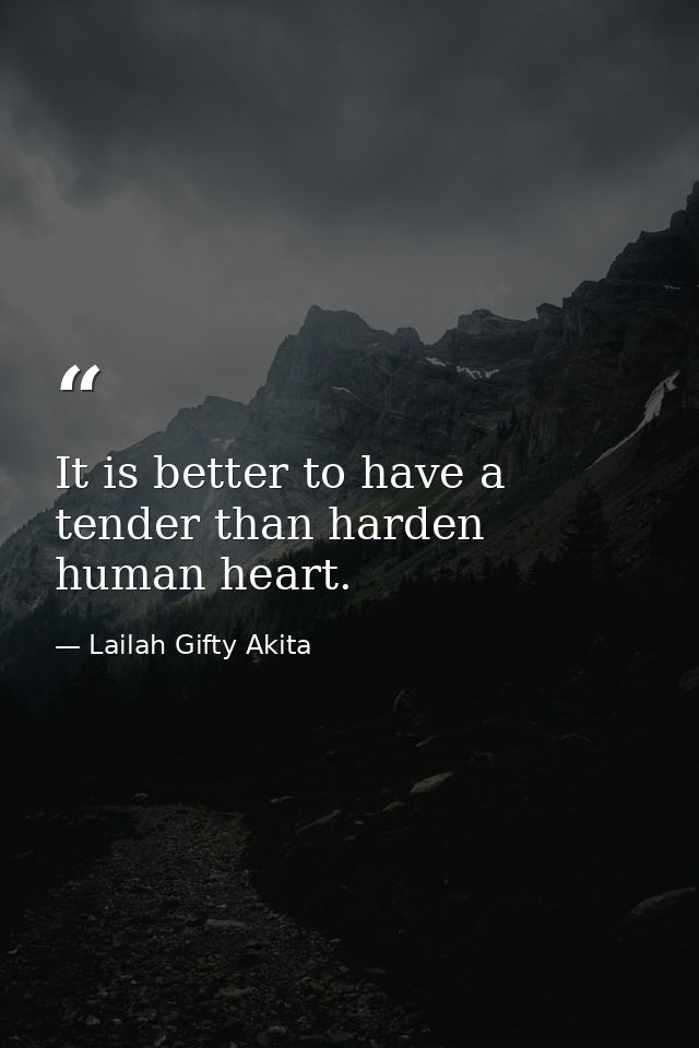 It is better to have a tender than harden human heart. — Lailah Gifty Akita
