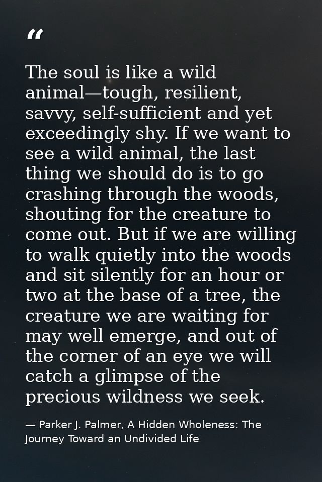 The soul is like a wild animal—tough, resilient, savvy, self-sufficient and yet exceedingly shy. If we want to see a wil — Parker J. Palmer, A Hidden Wholeness: The Journey Toward an Undivided Life