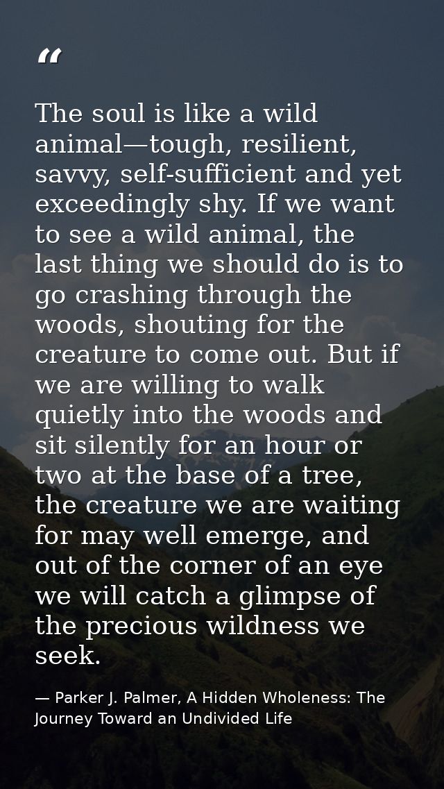 The soul is like a wild animal—tough, resilient, savvy, self-sufficient and yet exceedingly shy. If we want to see a wil — Parker J. Palmer, A Hidden Wholeness: The Journey Toward an Undivided Life