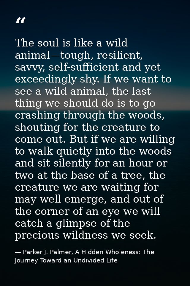 The soul is like a wild animal—tough, resilient, savvy, self-sufficient and yet exceedingly shy. If we want to see a wil — Parker J. Palmer, A Hidden Wholeness: The Journey Toward an Undivided Life