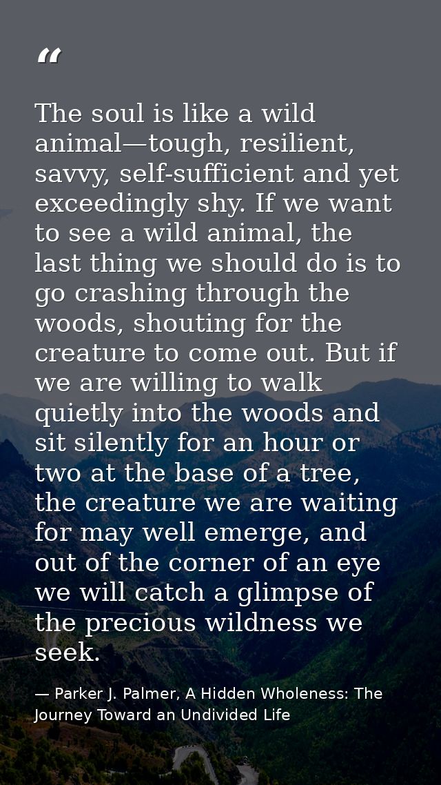 The soul is like a wild animal—tough, resilient, savvy, self-sufficient and yet exceedingly shy. If we want to see a wil — Parker J. Palmer, A Hidden Wholeness: The Journey Toward an Undivided Life