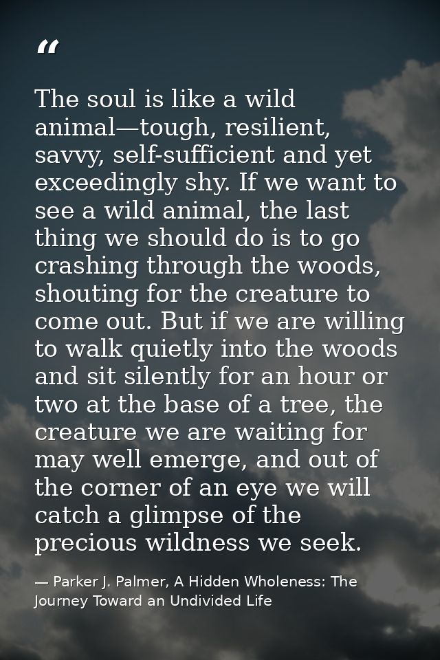 The soul is like a wild animal—tough, resilient, savvy, self-sufficient and yet exceedingly shy. If we want to see a wil — Parker J. Palmer, A Hidden Wholeness: The Journey Toward an Undivided Life