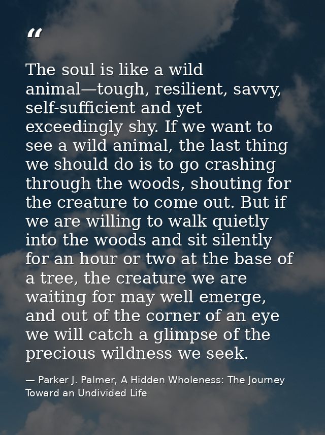 The soul is like a wild animal—tough, resilient, savvy, self-sufficient and yet exceedingly shy. If we want to see a wil — Parker J. Palmer, A Hidden Wholeness: The Journey Toward an Undivided Life