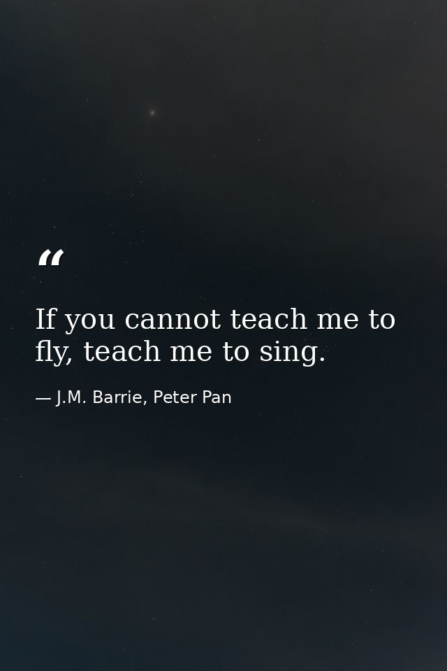 If you cannot teach me to fly, teach me to sing. — J.M. Barrie, Peter Pan