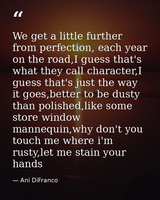 We get a little further from perfection, each year on the road,I guess that's what they call character,I guess that's ju — Ani DiFranco