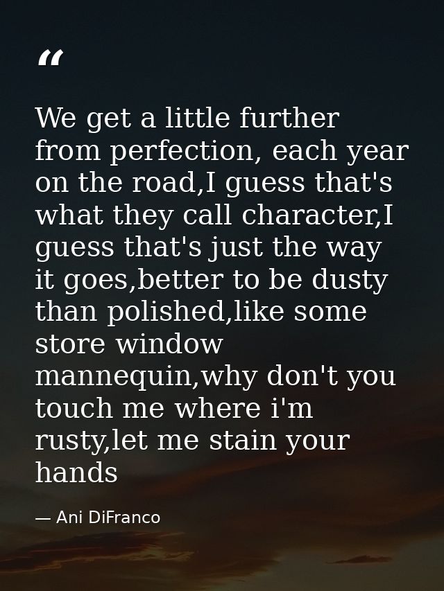 We get a little further from perfection, each year on the road,I guess that's what they call character,I guess that's ju — Ani DiFranco