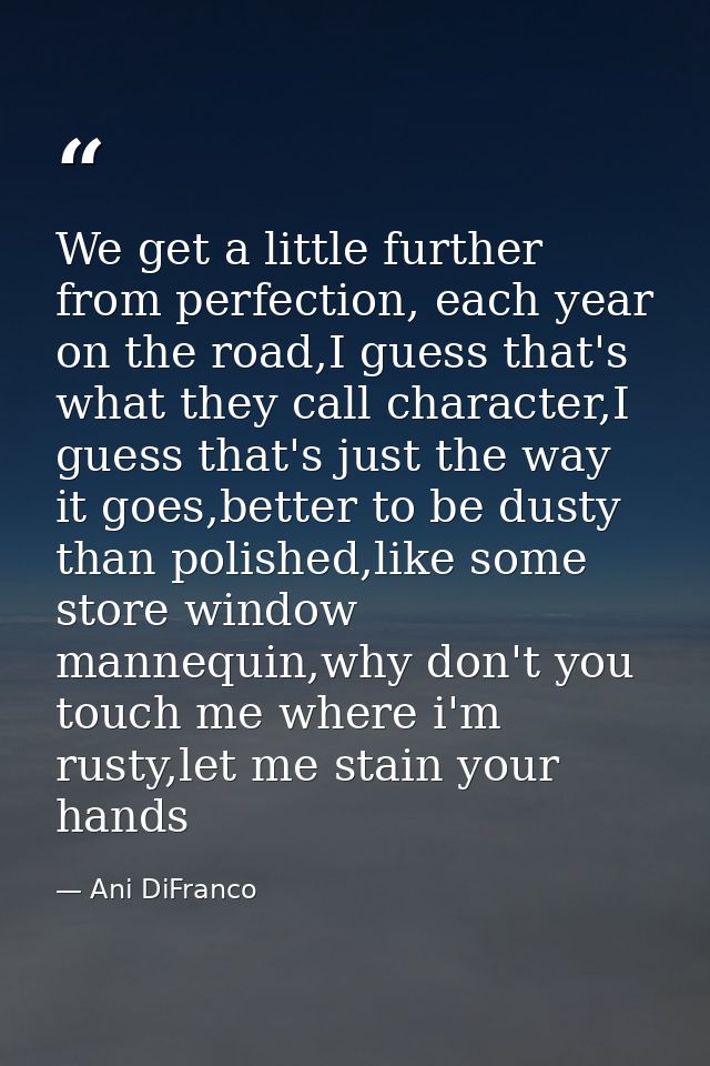 We get a little further from perfection, each year on the road,I guess that's what they call character,I guess that's ju — Ani DiFranco