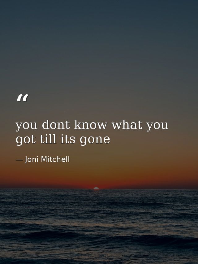 you dont know what you got till its gone — Joni Mitchell
