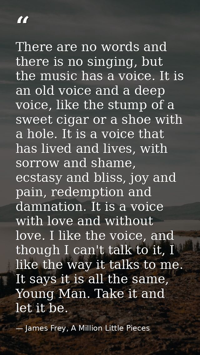 There are no words and there is no singing, but the music has a voice. It is an old voice and a deep voice, like the stu — James Frey, A Million Little Pieces