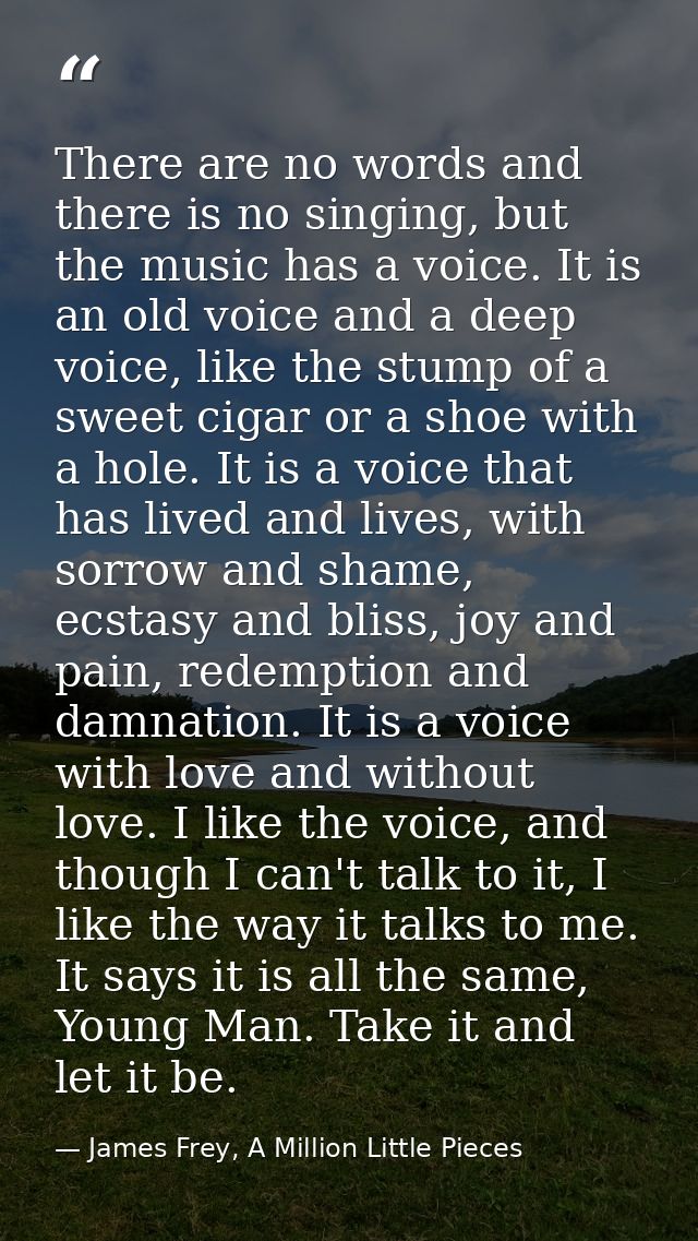 There are no words and there is no singing, but the music has a voice. It is an old voice and a deep voice, like the stu — James Frey, A Million Little Pieces