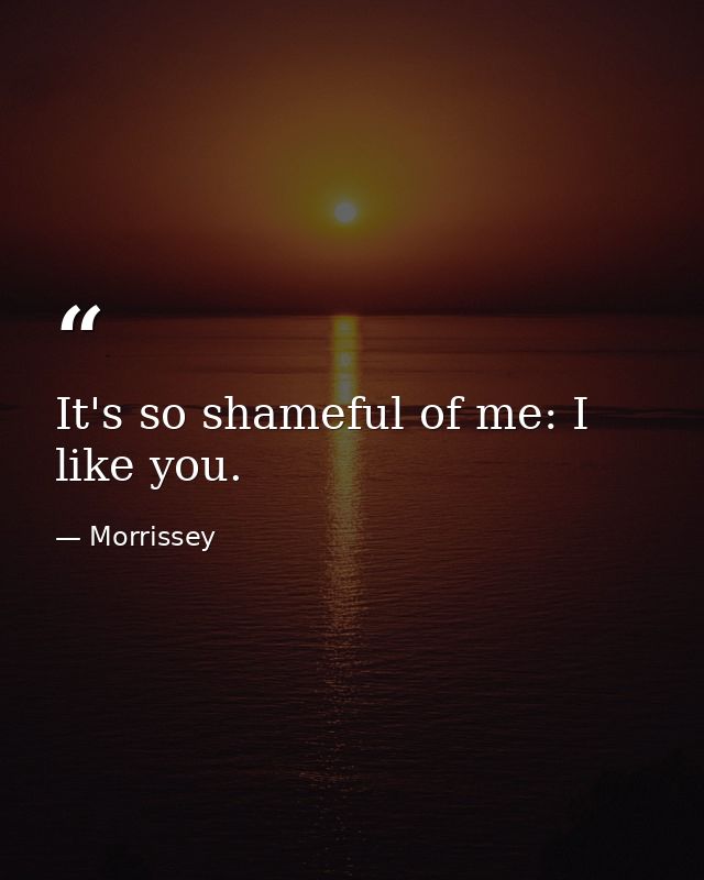 It's so shameful of me: I like you. — Morrissey
