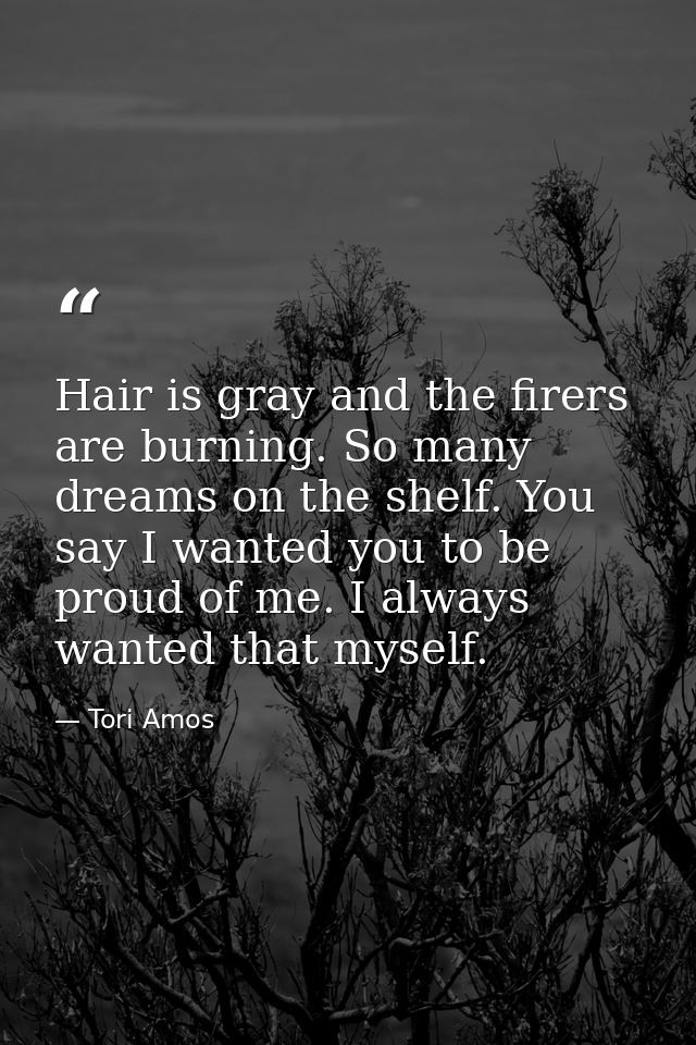 Hair is gray and the firers are burning. So many dreams on the shelf. You say I wanted you to be proud of me. I always w — Tori Amos