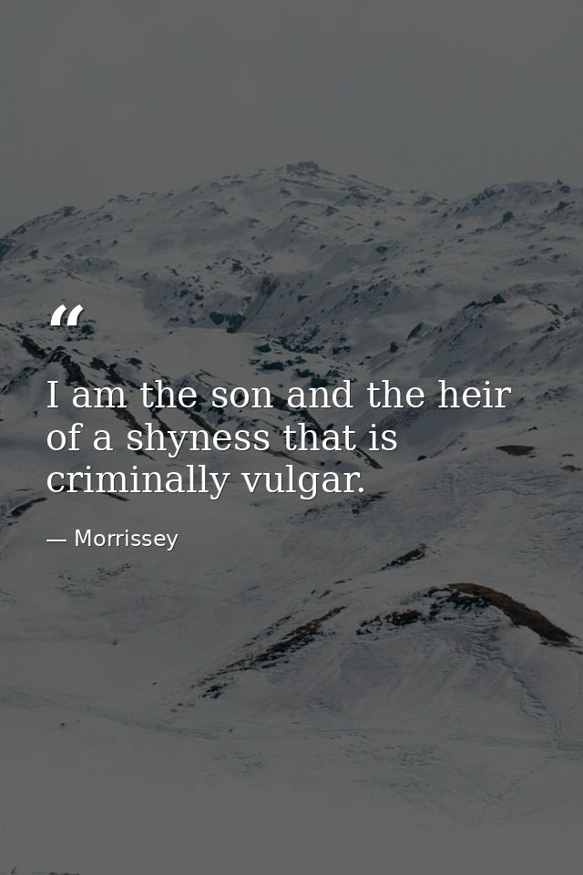 I am the son and the heir of a shyness that is criminally vulgar. — Morrissey